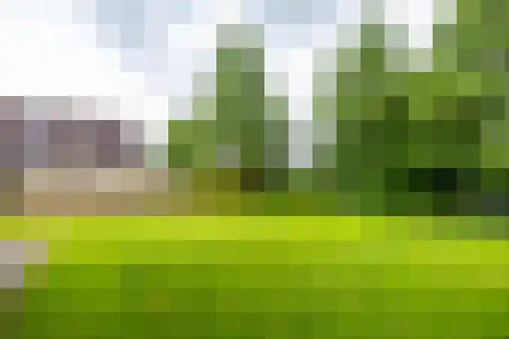 Hunse 1 B Eenrum thumbnail 8