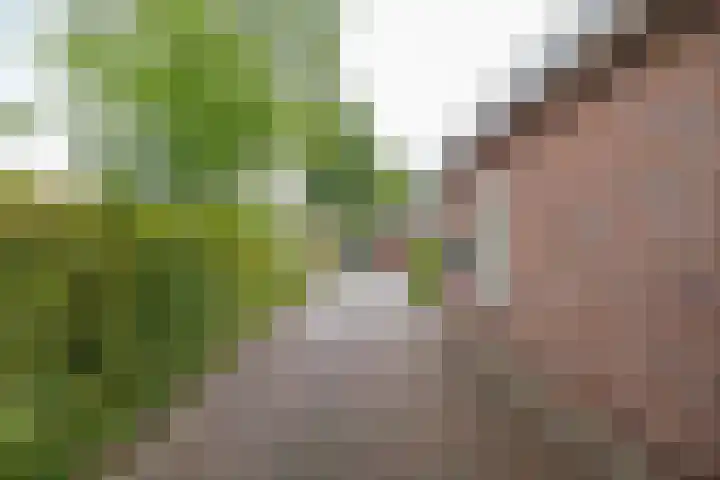 Hunse 1 B Eenrum thumbnail 9