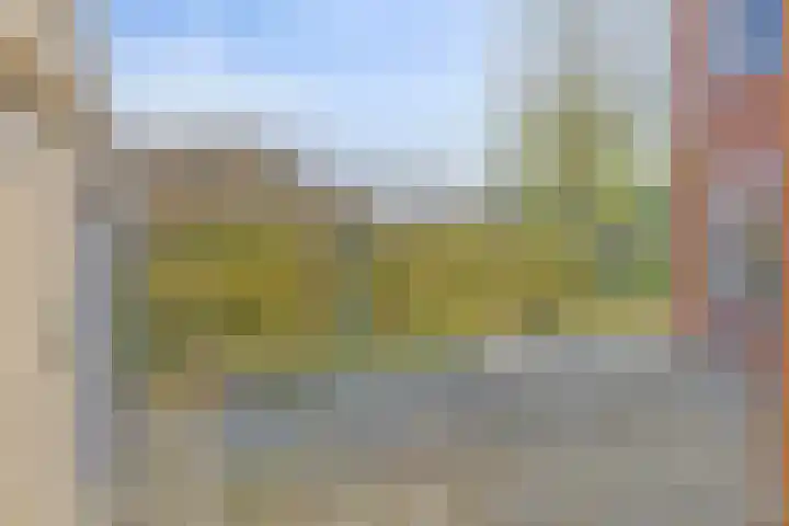 Hunse 38 Eenrum thumbnail 25
