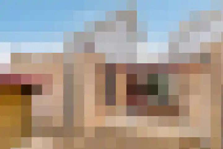 Hunsingo 24 Lelystad thumbnail 39