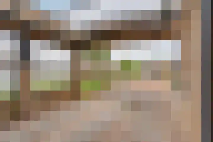 Hunsingo 24 Lelystad thumbnail 4