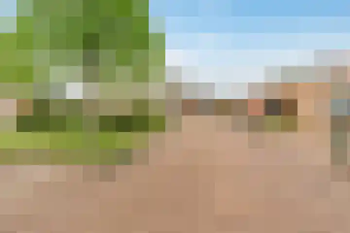 Hunsingo 24 Lelystad thumbnail 41