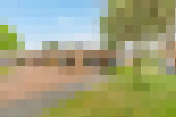 Hunsingo 24 Lelystad thumbnail 43