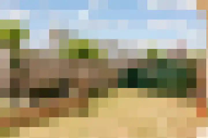 Hunsingo 30 Lelystad thumbnail 20