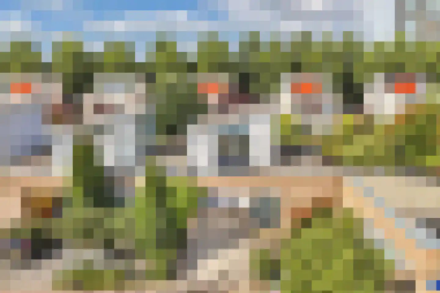 Hunsingo 40 Lelystad thumbnail 10
