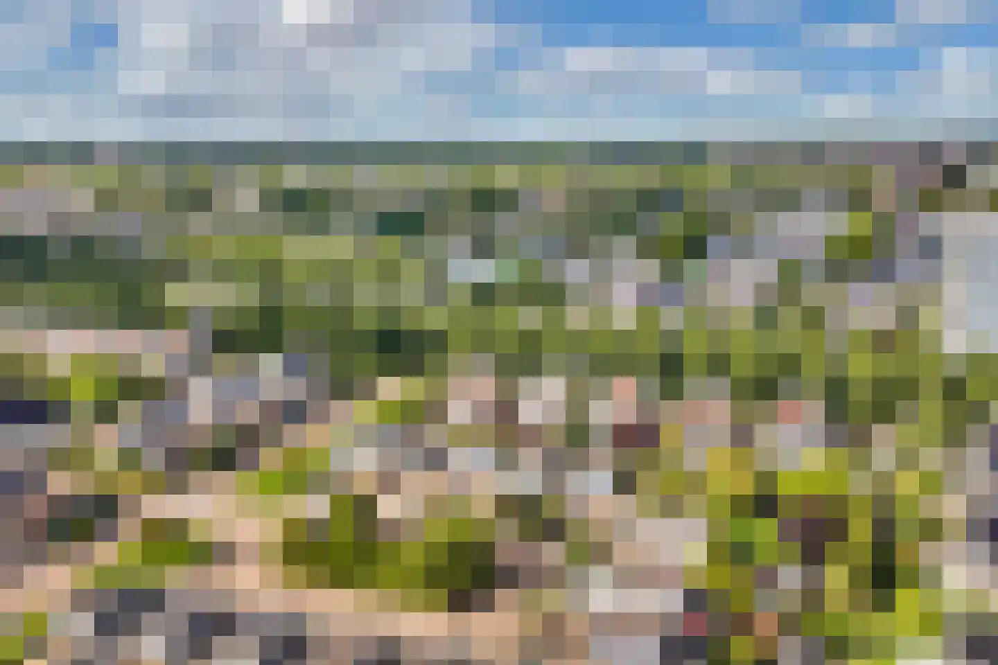 Hunsingo 40 Lelystad thumbnail 14