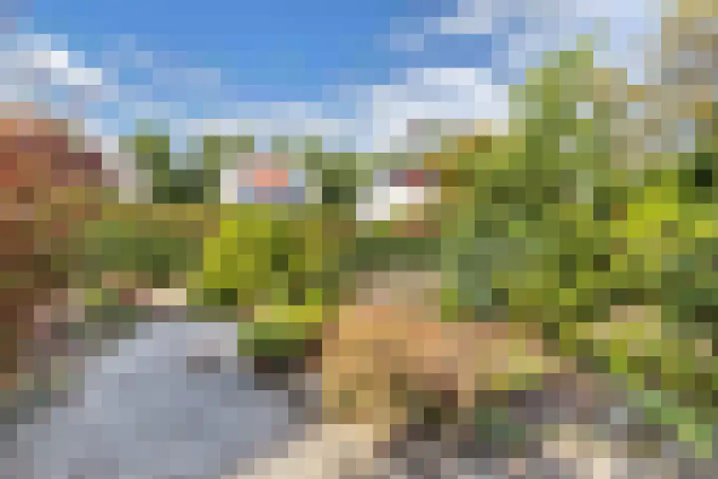 Hunsingo 40 Lelystad thumbnail 49