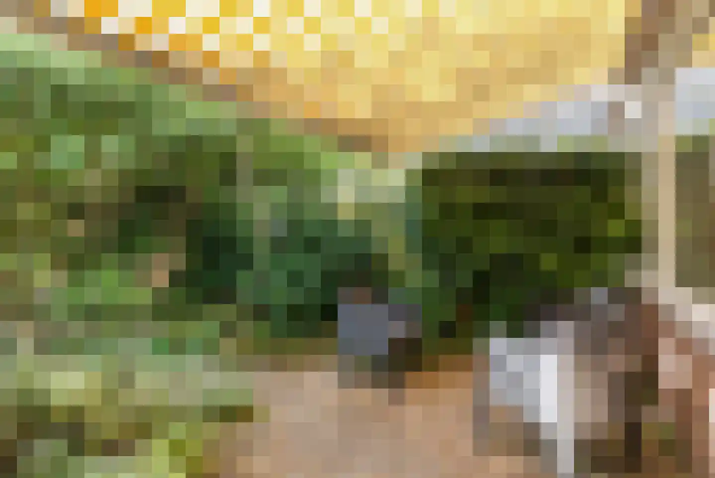 Hunsingo 72 Zoetermeer thumbnail 12