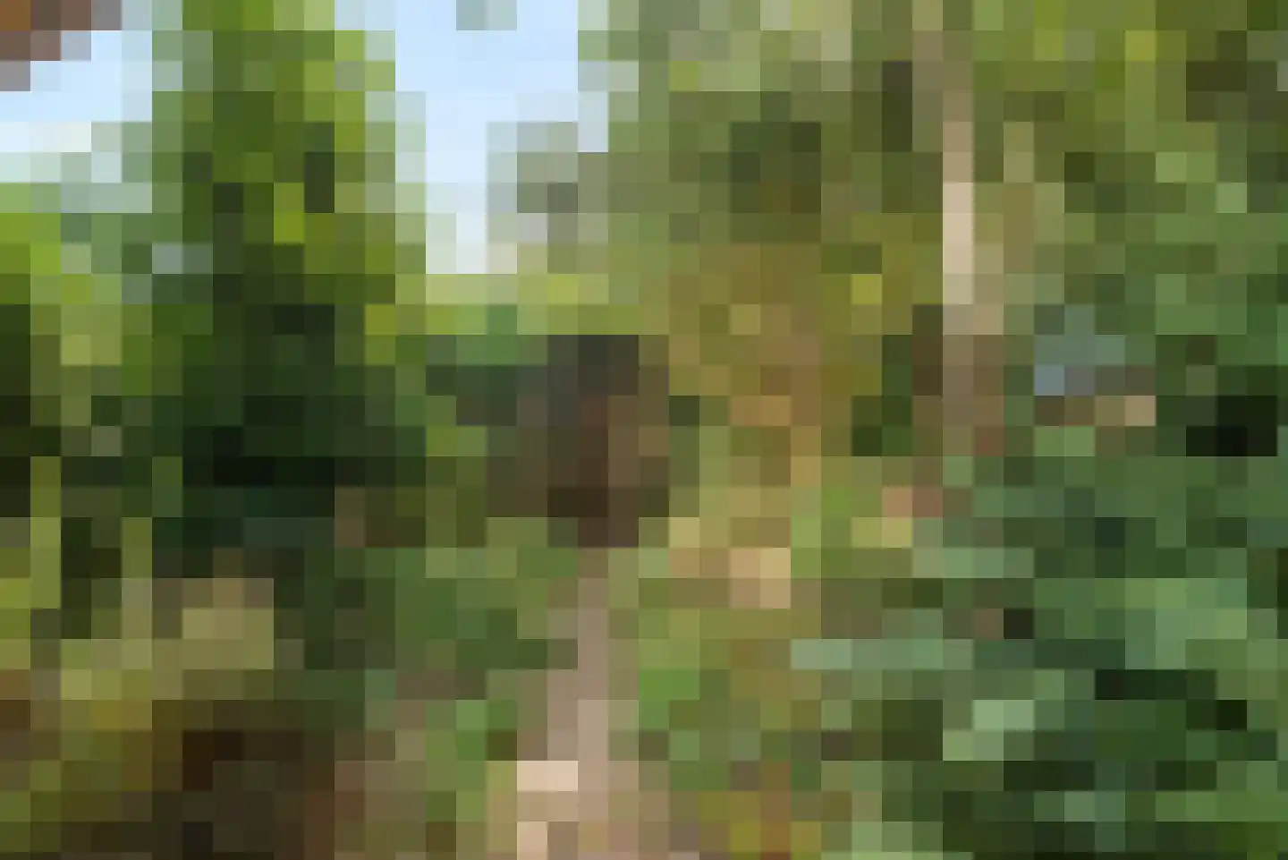 Hunsingo 72 Zoetermeer thumbnail 13