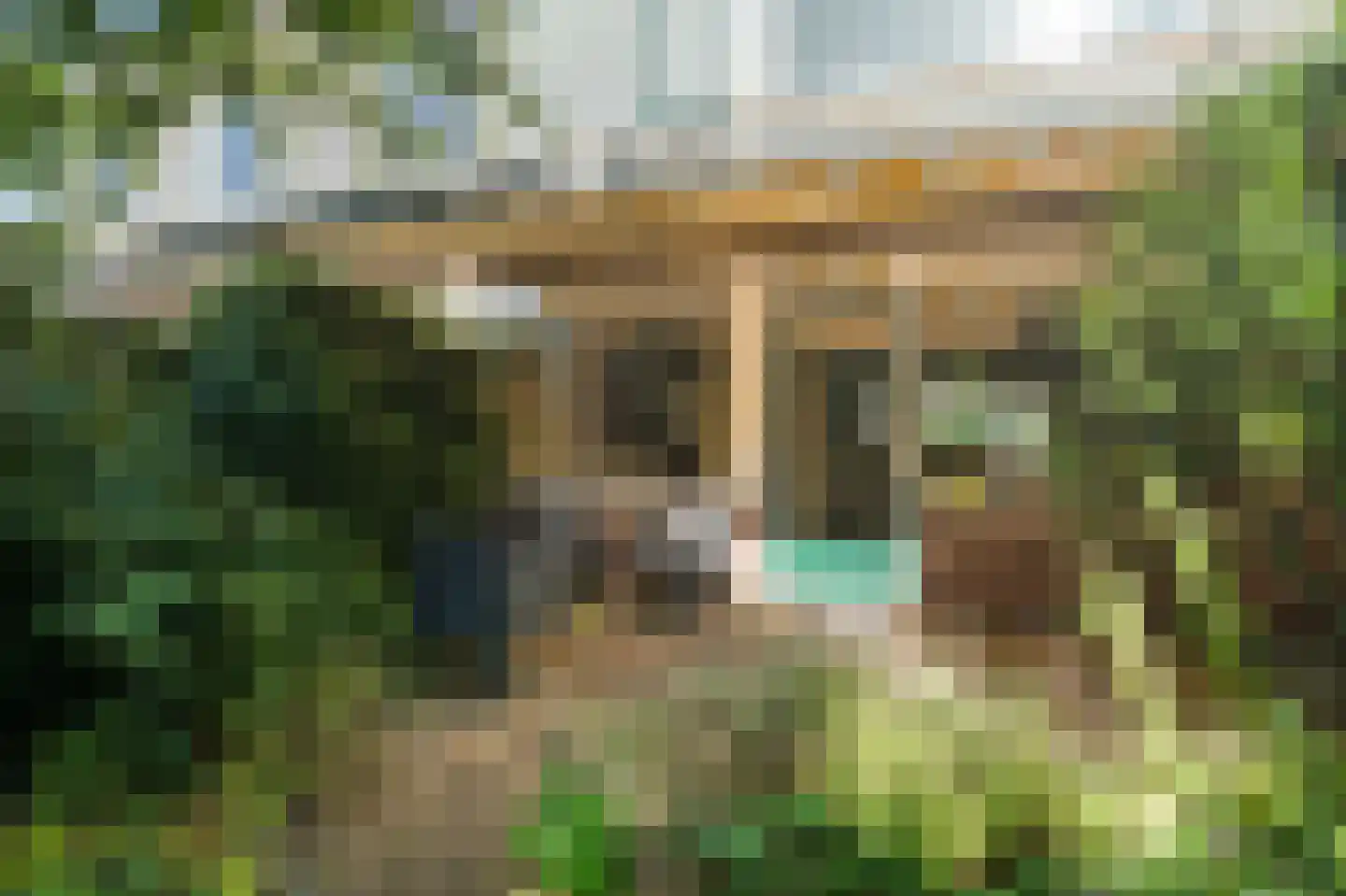 Hunsingo 72 Zoetermeer thumbnail 15