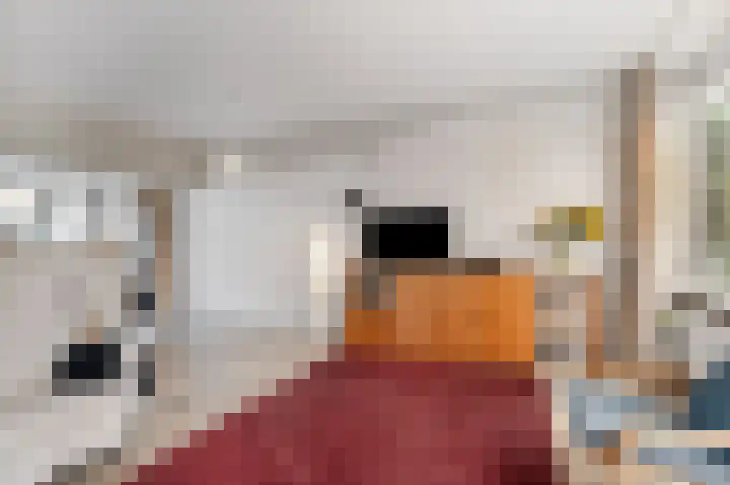Hunsingo 72 Zoetermeer thumbnail 17