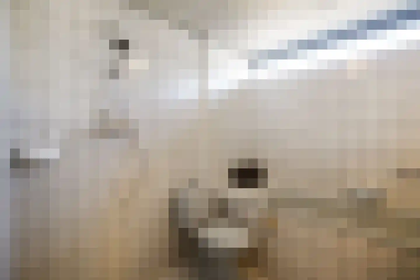 Hunsingo 72 Zoetermeer thumbnail 32