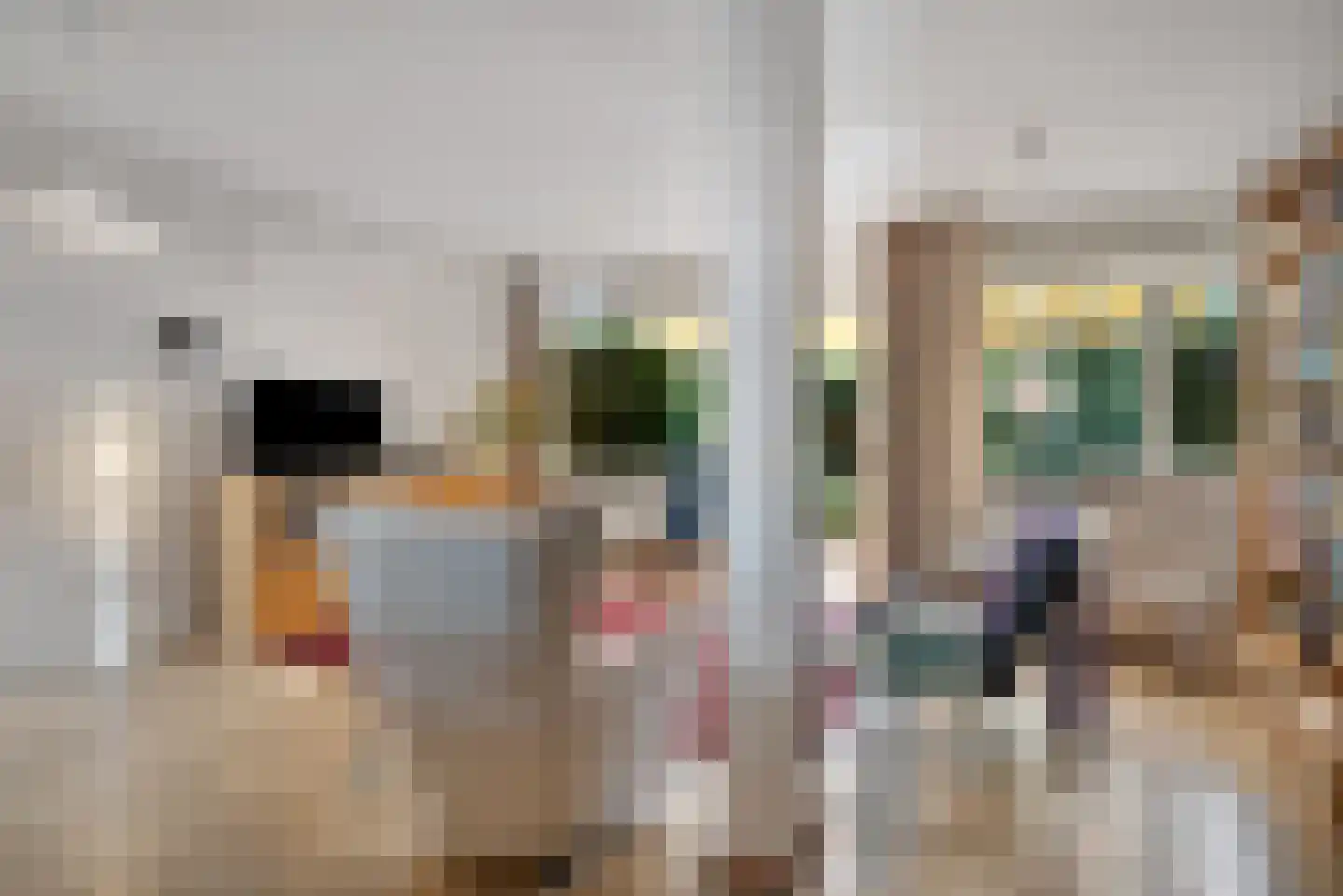 Hunsingo 72 Zoetermeer thumbnail 8
