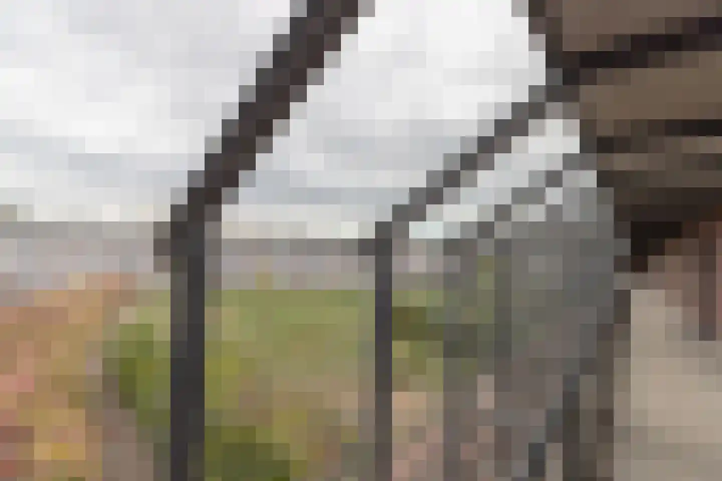 Hunsingokade 27 Zoutkamp thumbnail 6