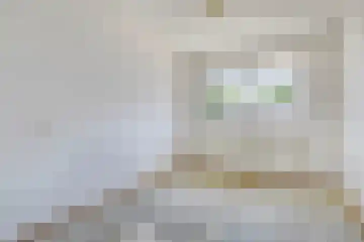 Hunsingolaan 36 Stadskanaal thumbnail 16