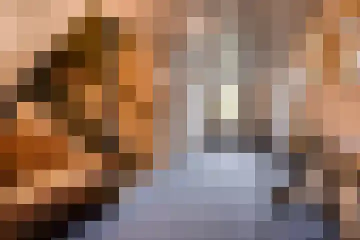 Hunsingolaan 4 Stadskanaal thumbnail 27