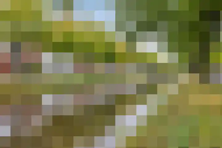 Hunsingolaan 4 Stadskanaal thumbnail 32