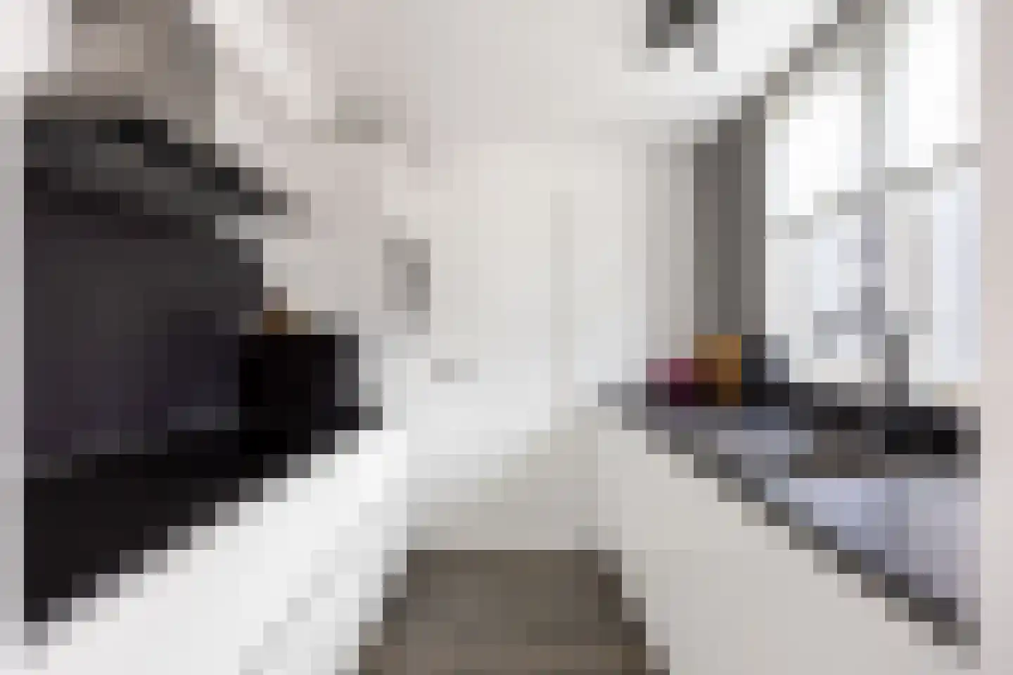 Hunsingoweg 4 Uithuizen thumbnail 10