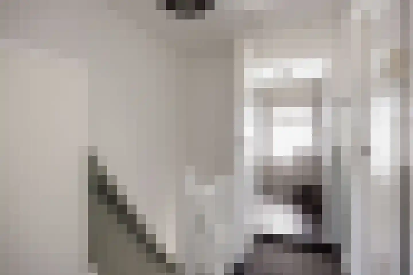 Hunsingoweg 4 Uithuizen thumbnail 12