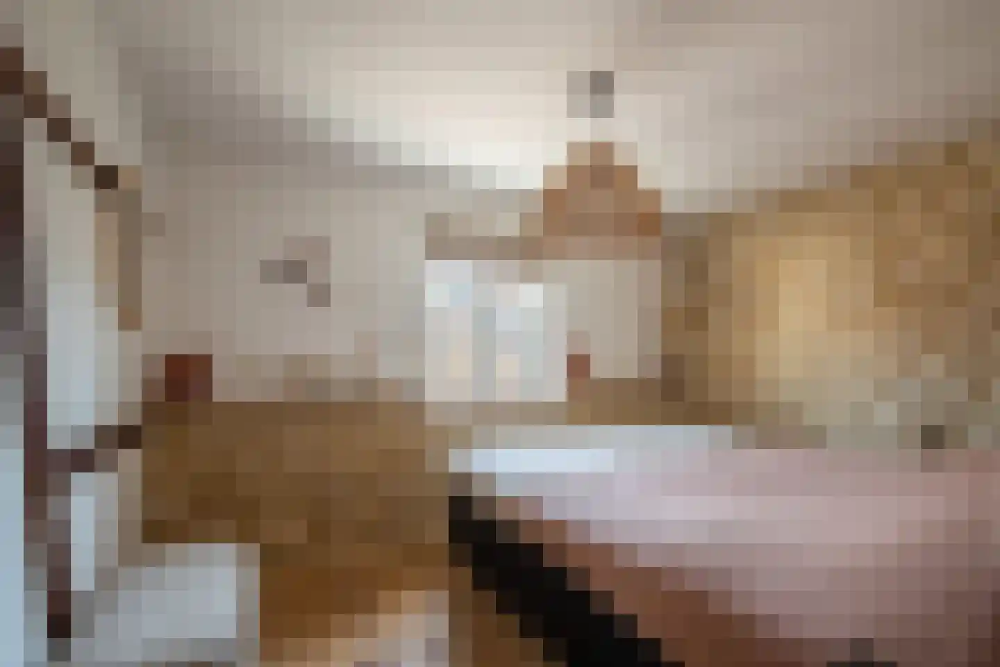 Hunsstraat 39 Voerendaal thumbnail 21