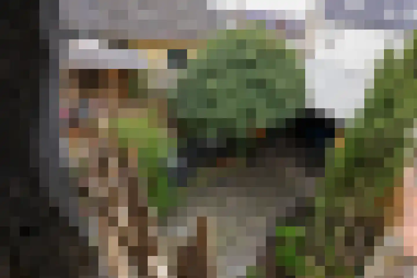 Hunsstraat 4 Voerendaal thumbnail 25
