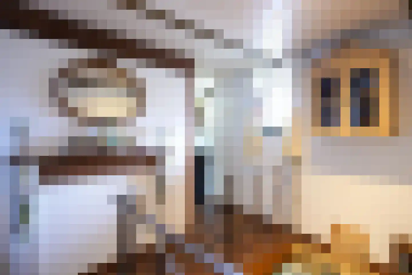 Hunsstraat 4 Voerendaal thumbnail 35
