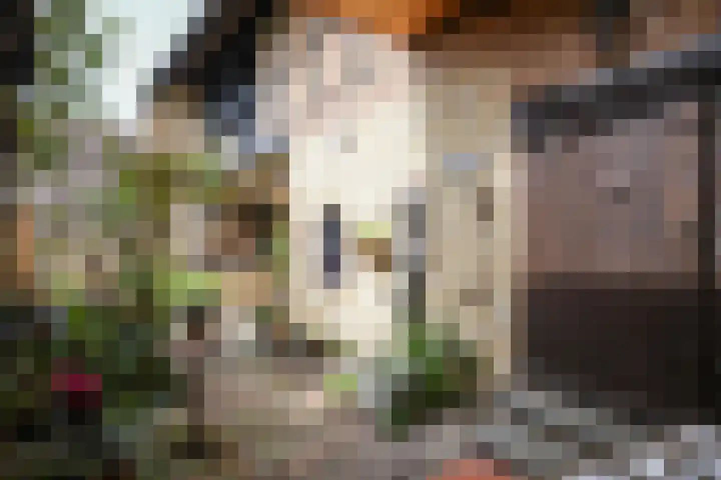 Hunsstraat 4 Voerendaal thumbnail 39