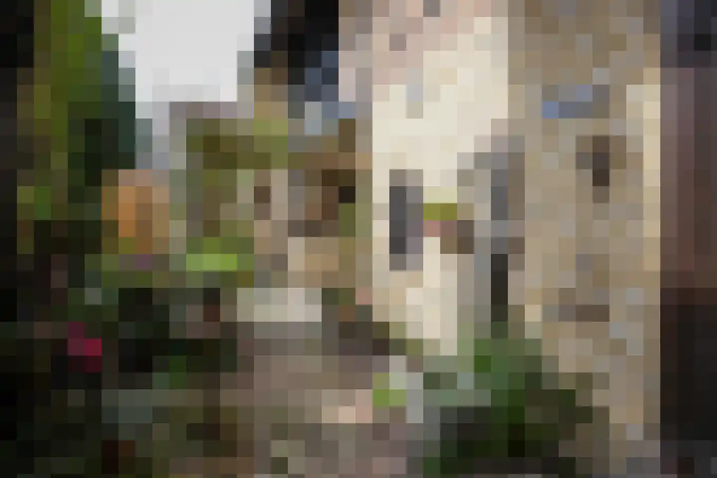 Hunsstraat 4 Voerendaal thumbnail 40