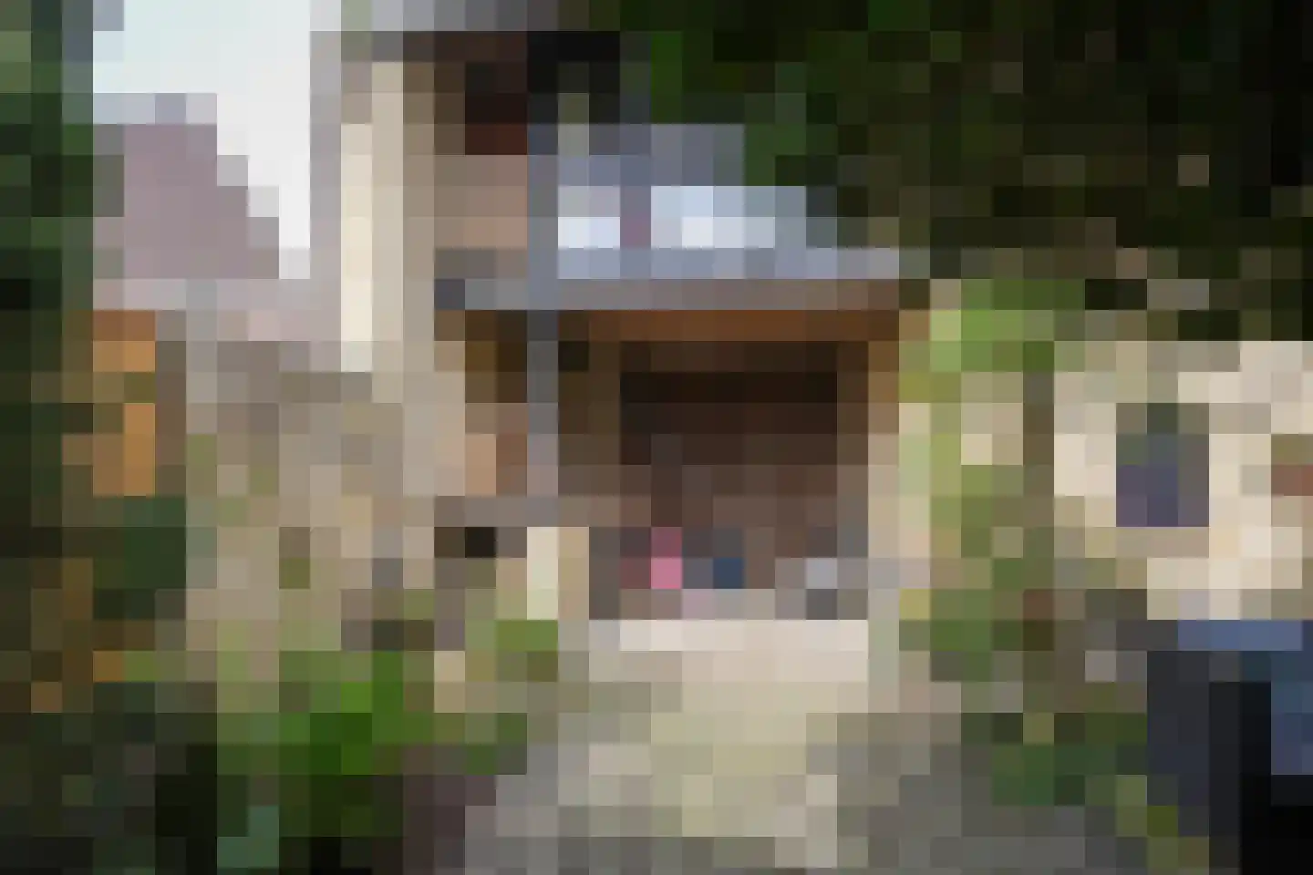 Hunsstraat 4 Voerendaal thumbnail 41
