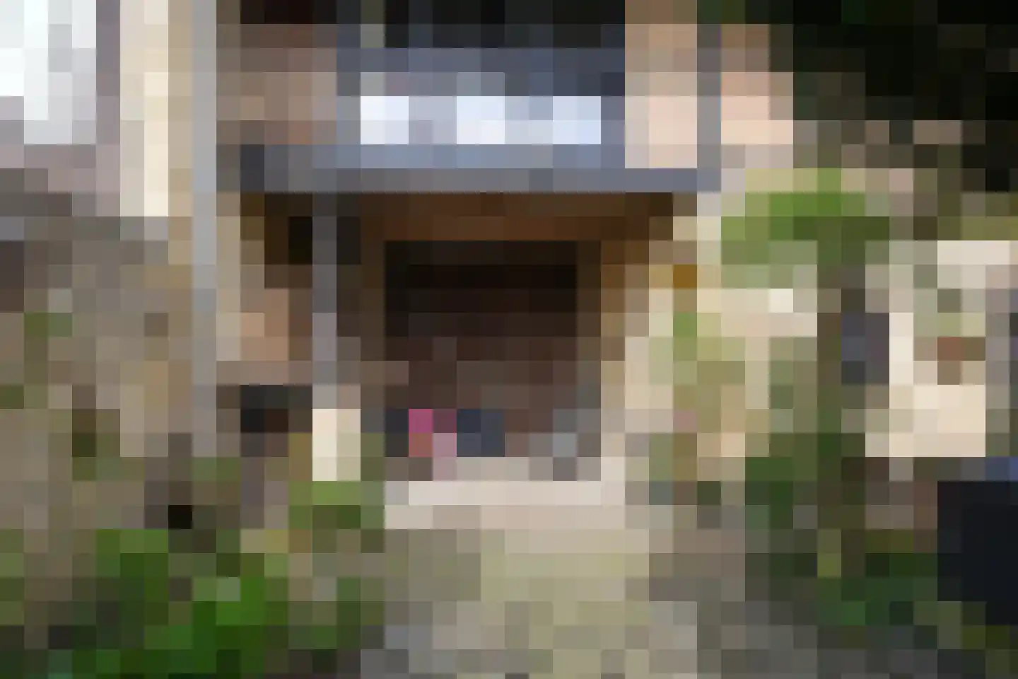 Hunsstraat 4 Voerendaal thumbnail 42