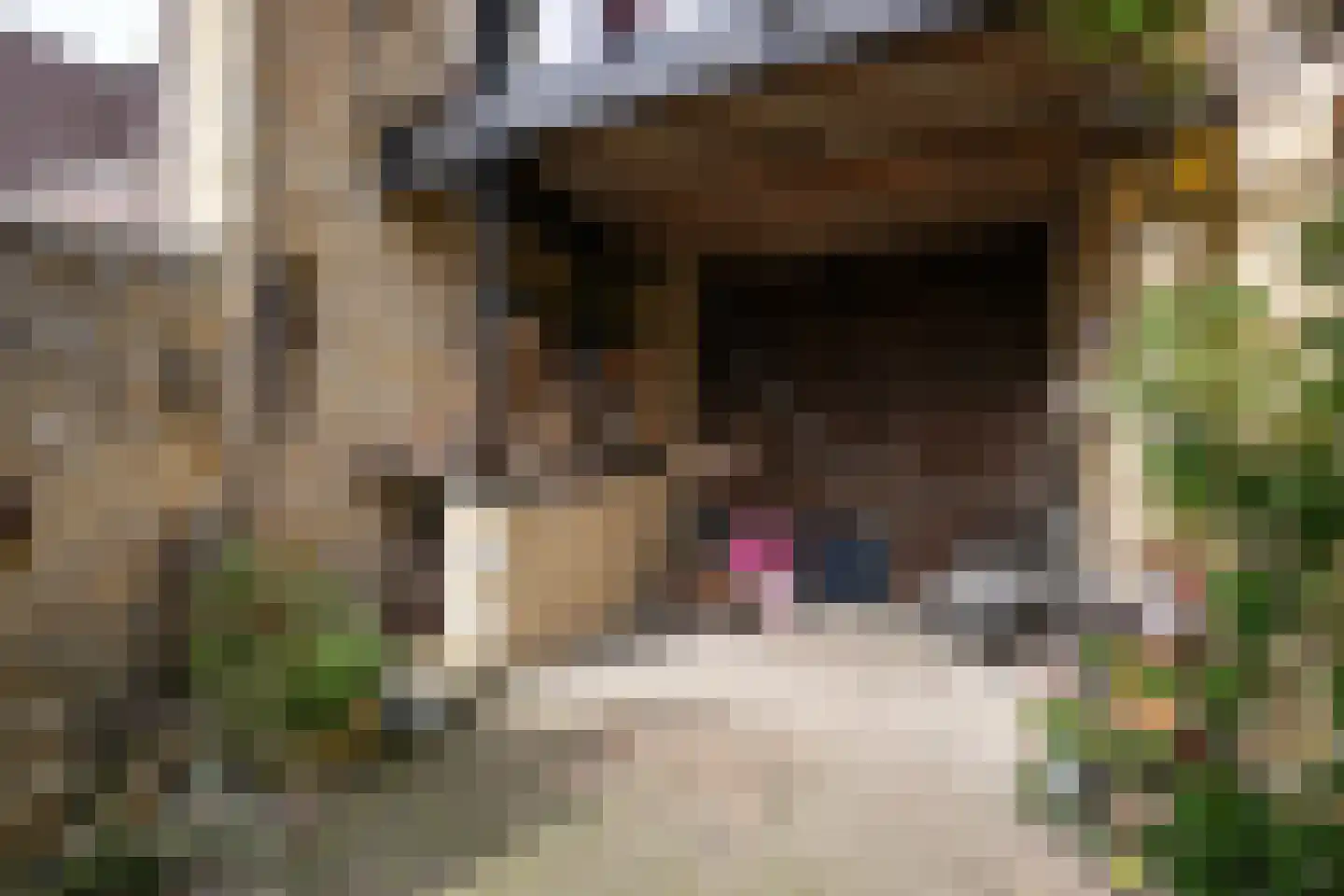 Hunsstraat 4 Voerendaal thumbnail 43
