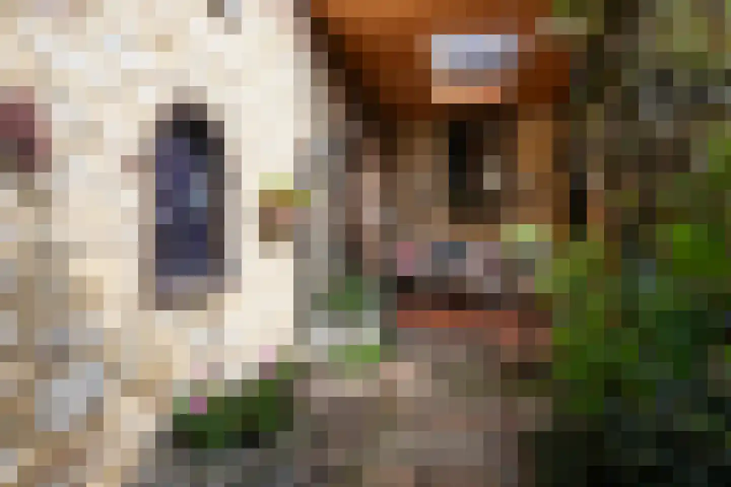 Hunsstraat 4 Voerendaal thumbnail 47