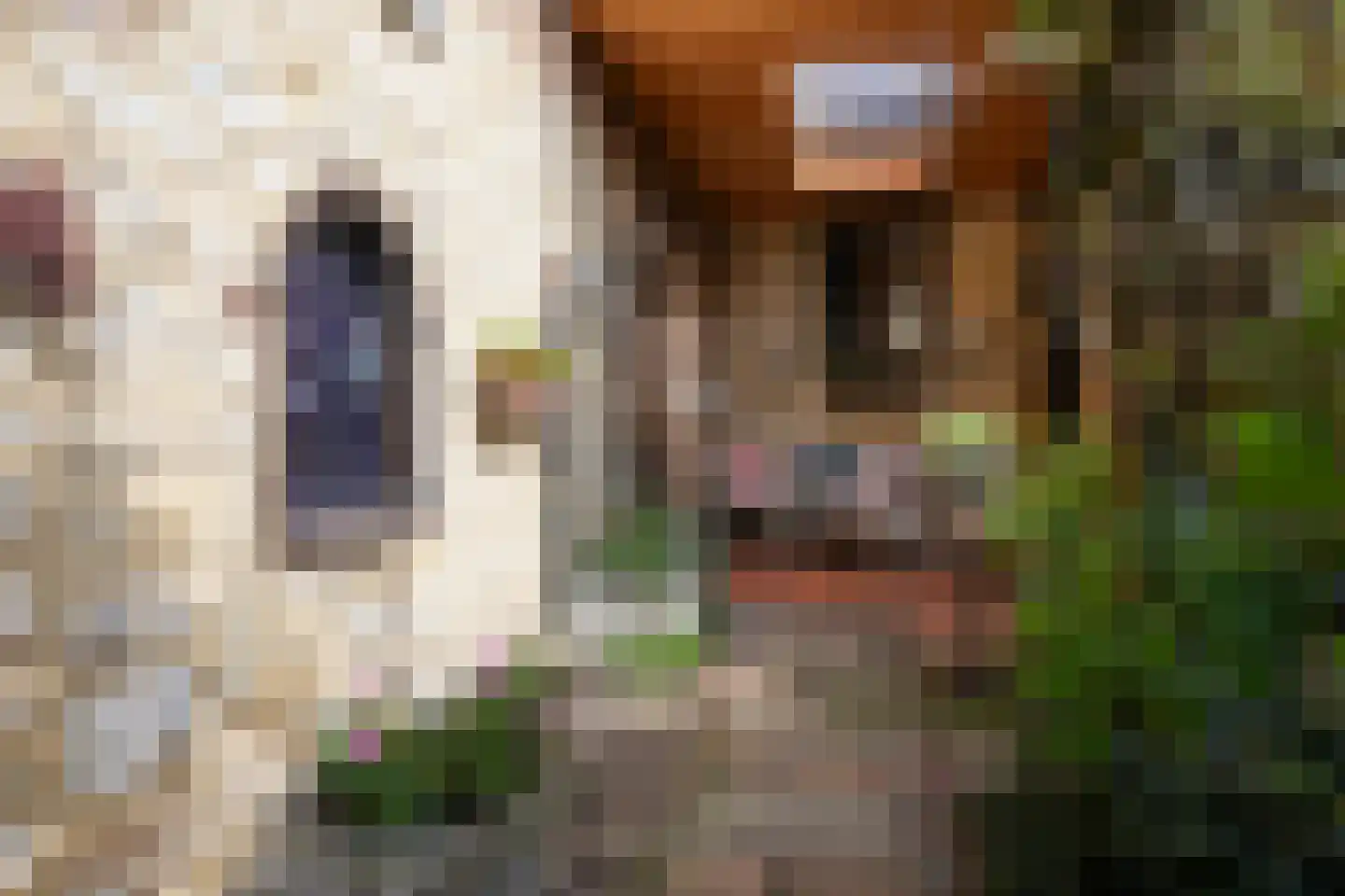 Hunsstraat 4 Voerendaal thumbnail 47