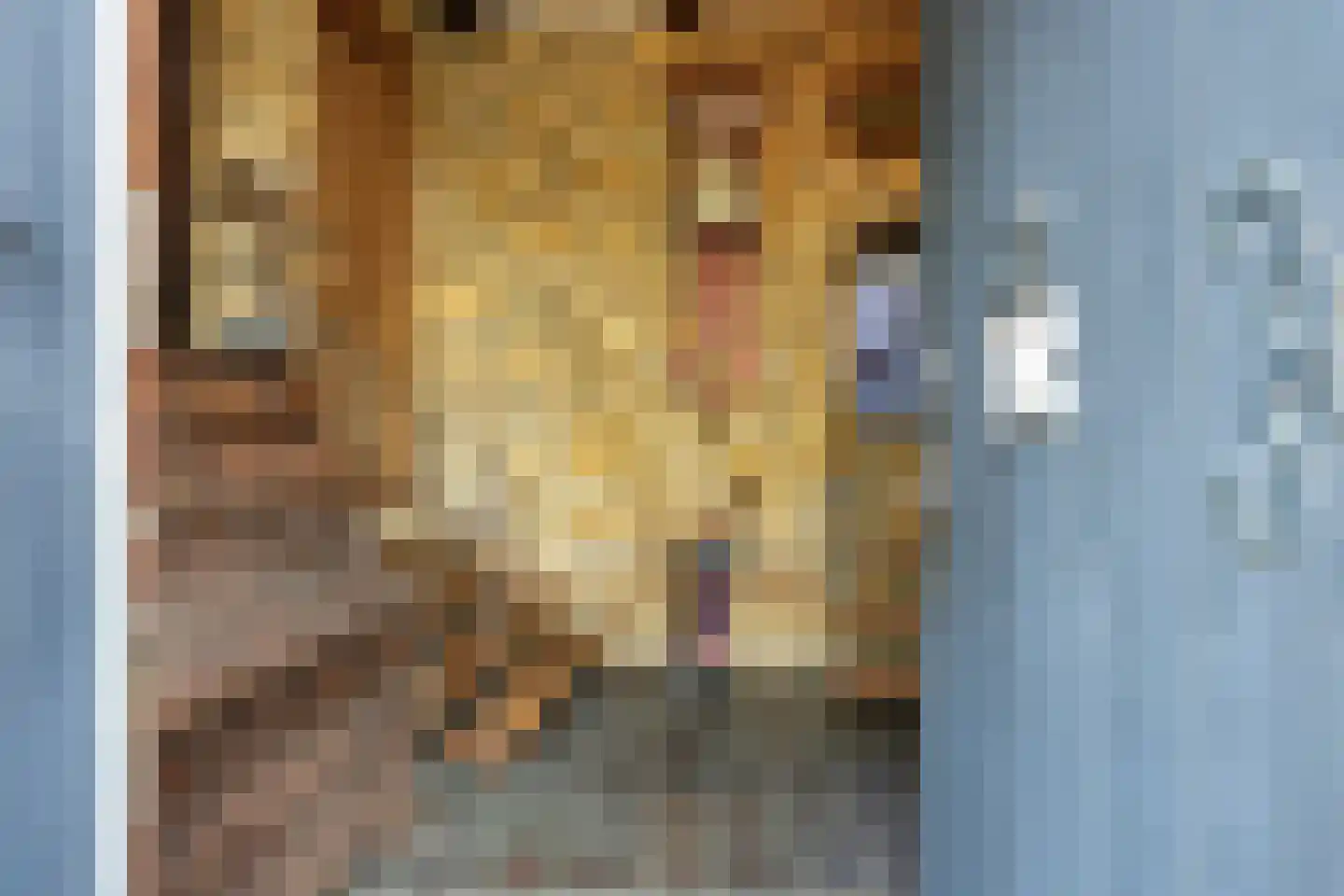 Hunsstraat 4 Voerendaal thumbnail 6