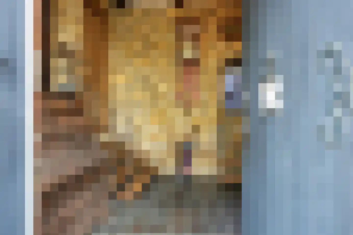 Hunsstraat 4 Voerendaal thumbnail 6