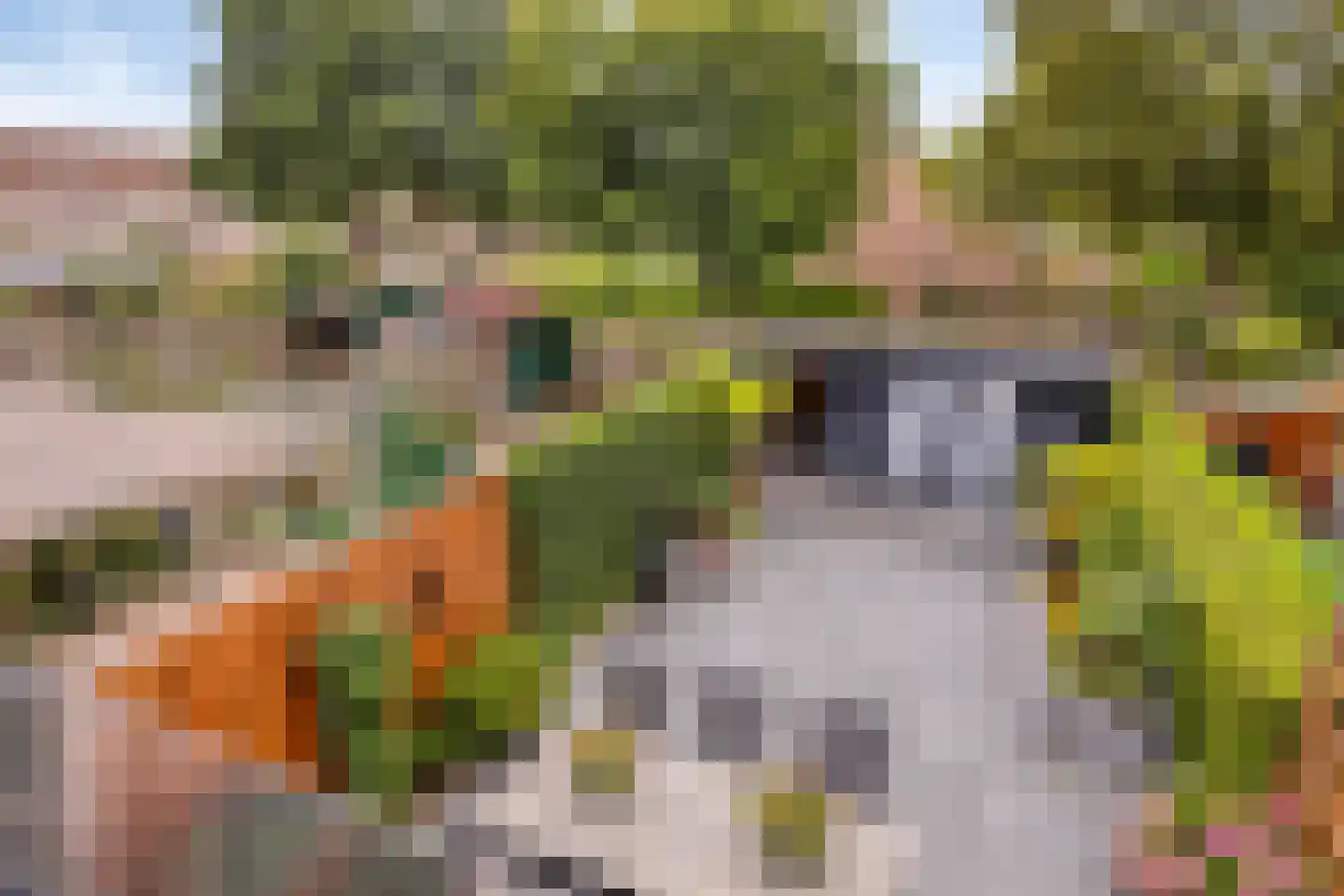 Hunthum 36 Loenen aan de Vecht thumbnail 24