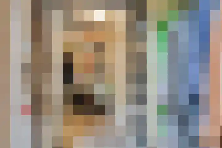 Huntum 22 A Amsterdam thumbnail 20