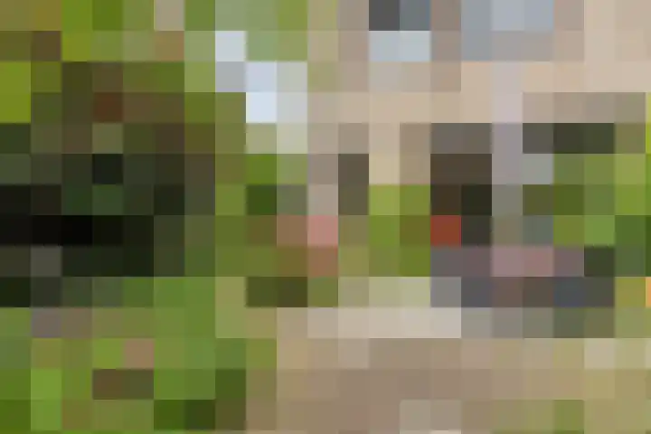 Huntum 22 A Amsterdam thumbnail 23