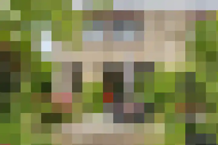 Huntum 22 A Amsterdam thumbnail 24