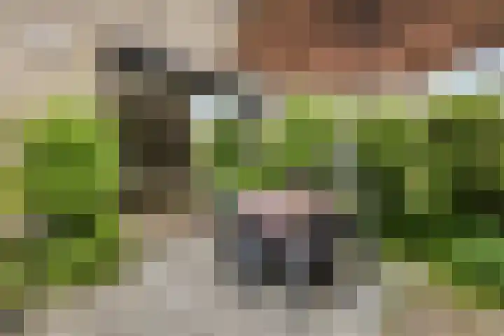 Huntum 22 A Amsterdam thumbnail 25