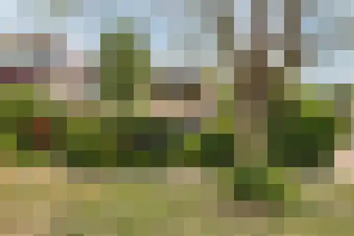 Huntum 22 A Amsterdam thumbnail 28