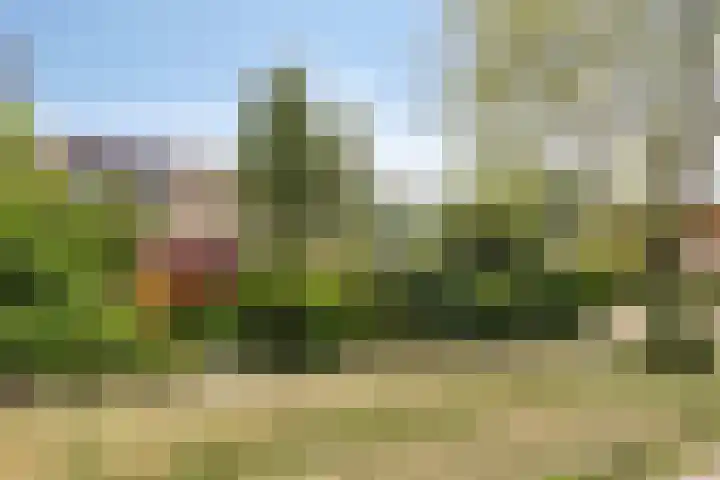 Huntum 22 A Amsterdam thumbnail 29