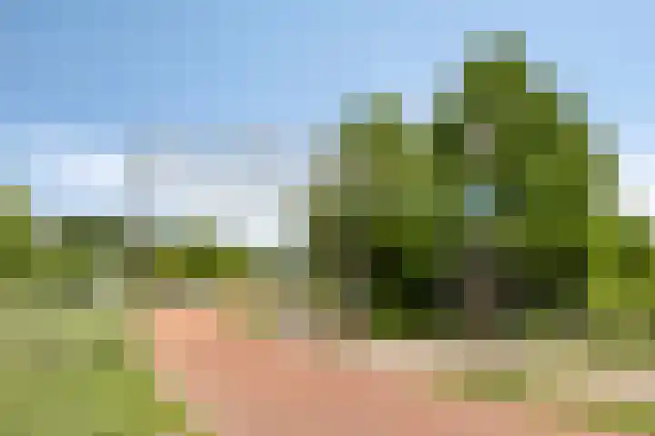Huntum 22 A Amsterdam thumbnail 30
