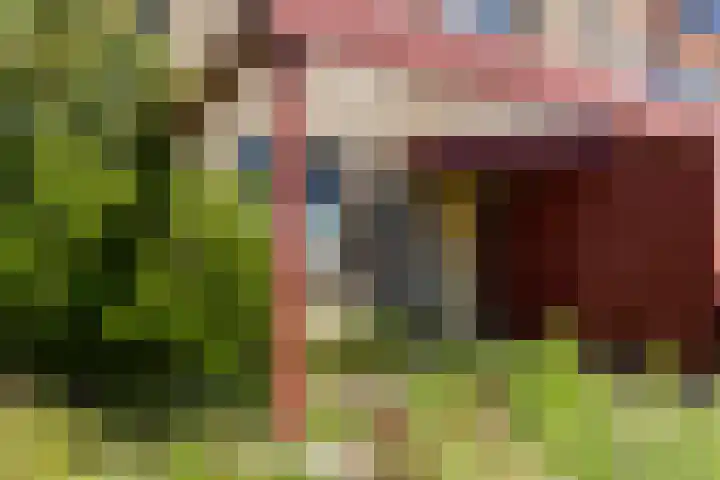 Huntum 25 A Amsterdam thumbnail 7