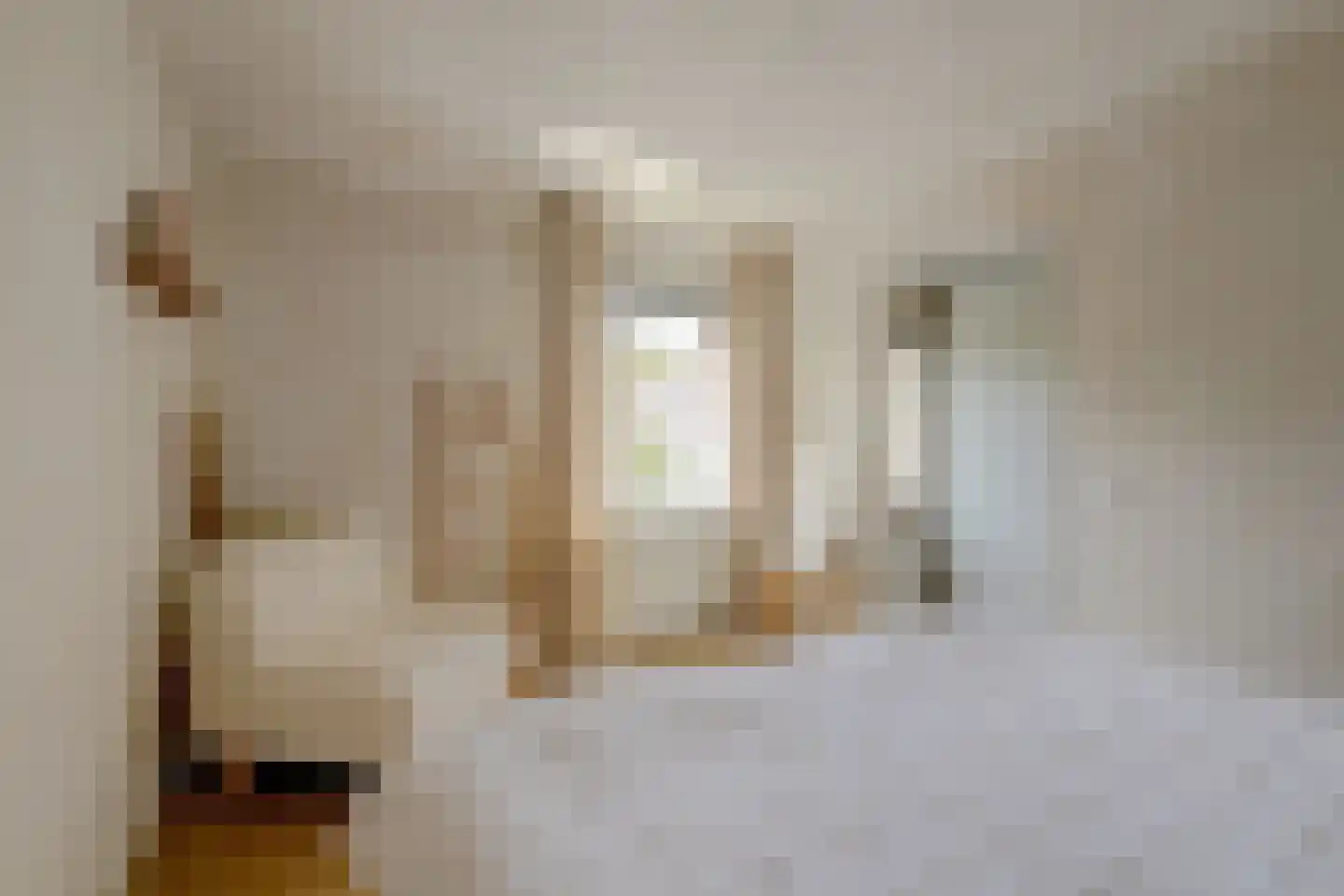 Hunze 10 a Tilburg thumbnail 20