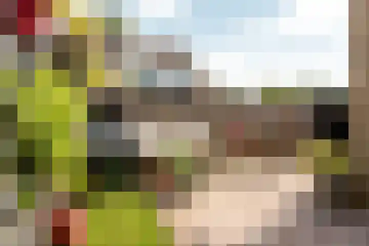 Hunze 100 Drachten thumbnail 10