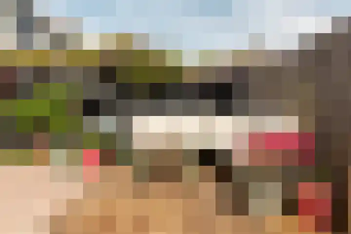 Hunze 100 Drachten thumbnail 12