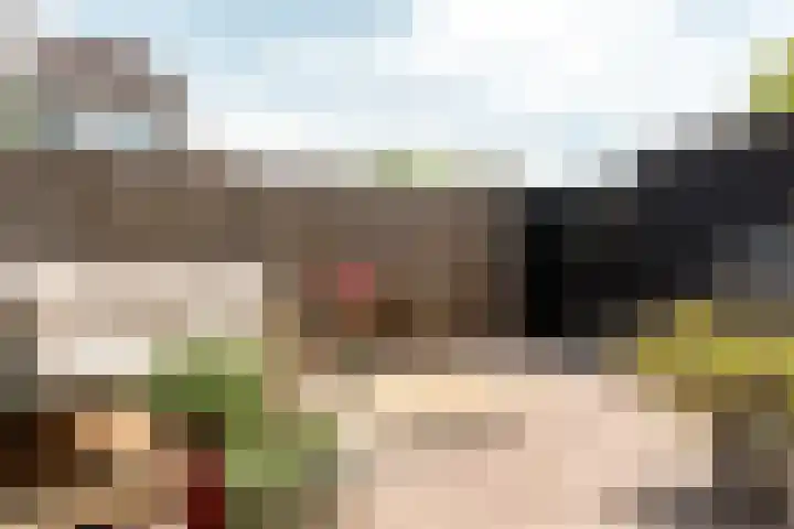 Hunze 100 Drachten thumbnail 14