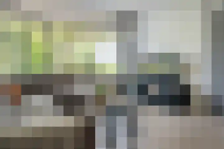 Hunze 100 Drachten thumbnail 17