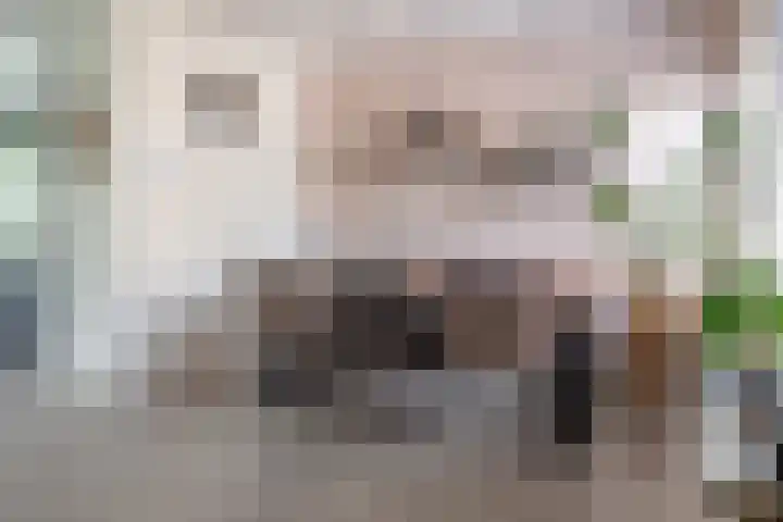 Hunze 100 Drachten thumbnail 22